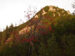 2013-10-26_Schildenstein (365).JPG